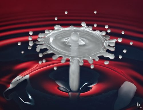 Red, White & Blue - Water & Milk drop collision