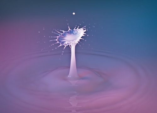 Milk & Water Drop Collision