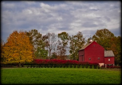 Fall Foliage in the Country