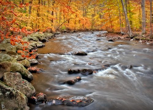 Fall Foliage Covers The Black River