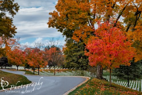 Arlington-National-Cemetery-In-Autumn