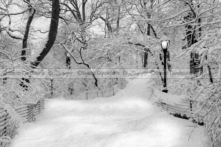 Central Park Dressed Up In White