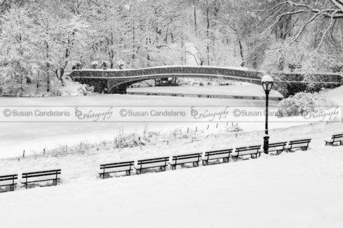 Bow-Bridge-Central-Park-Winter-Wonderland-BW.jpg