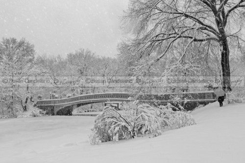 Bow-Bridge-In-Central-Park-During-Snowstorm-BW.jpg