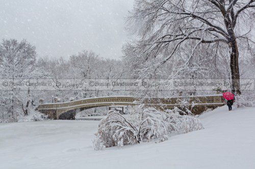 Bow-Bridge-In-Central-Park-During-Snowstorm.jpg