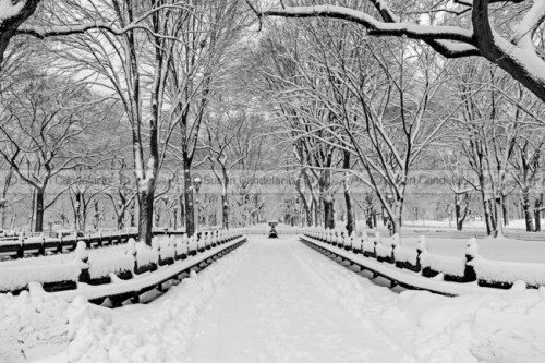 The-Mall-At-Central-Park-During-A-Snowstorm.jpg