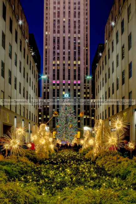Rockefeller Center Christmas Tree NYC