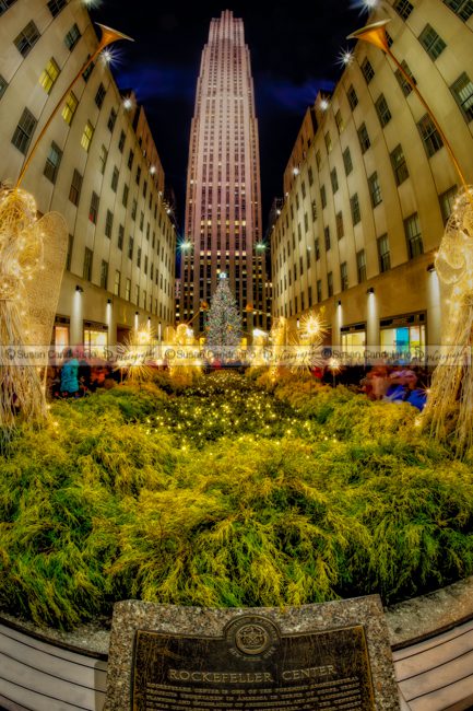Rockefeller Center  Christmas Tree NYC
