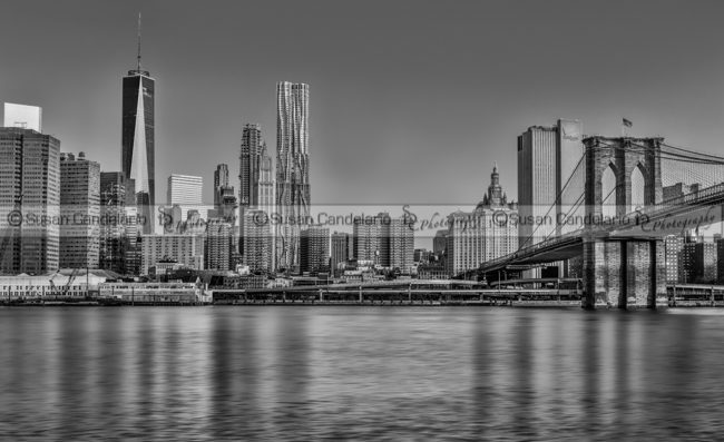 World Trade Center And The Brooklyn Bridge BW