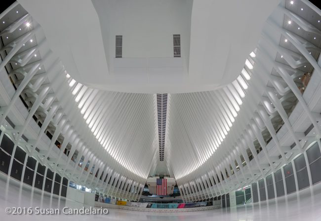 Oculus WTC Transit Hub