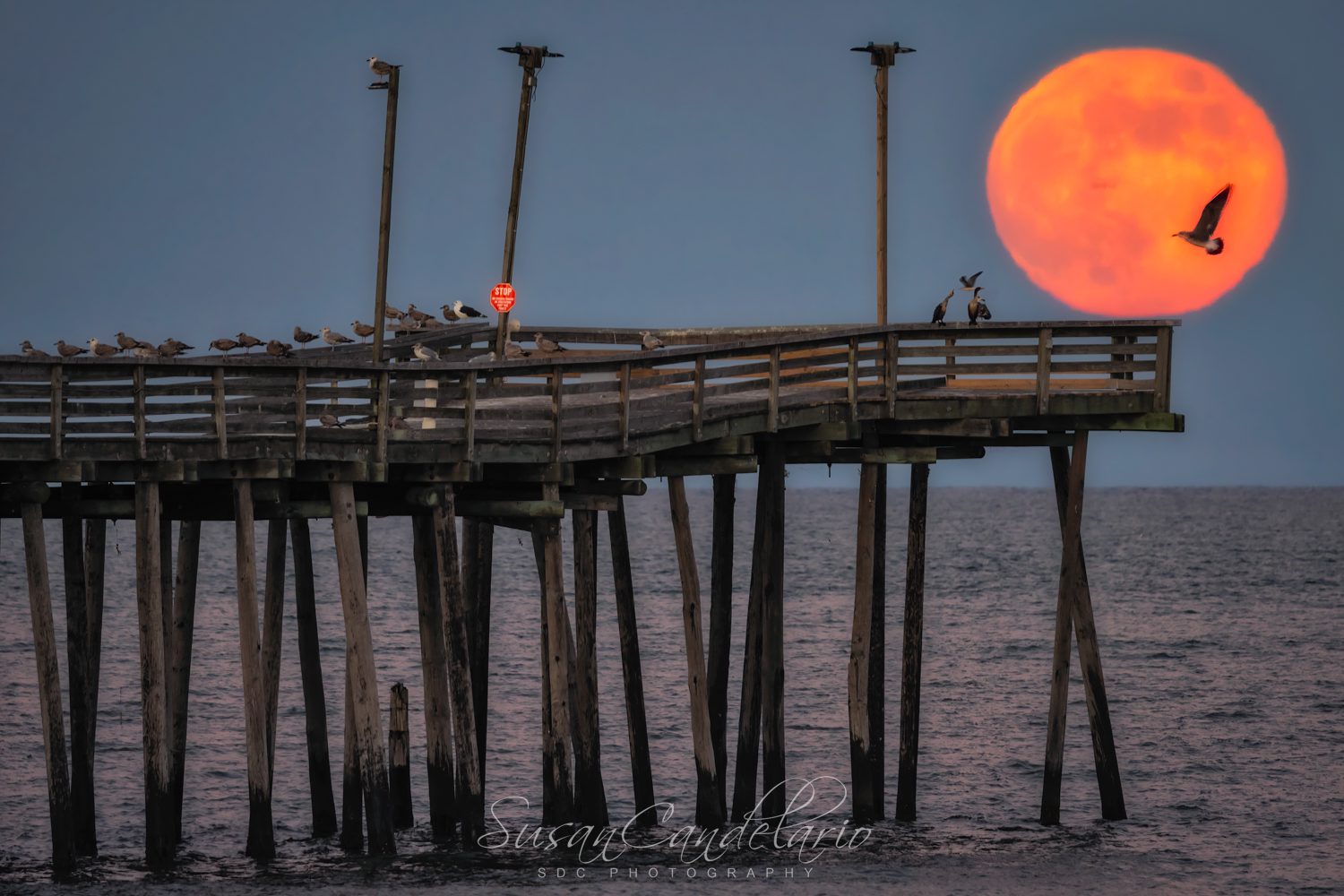 Virginia Beach Pier Moon