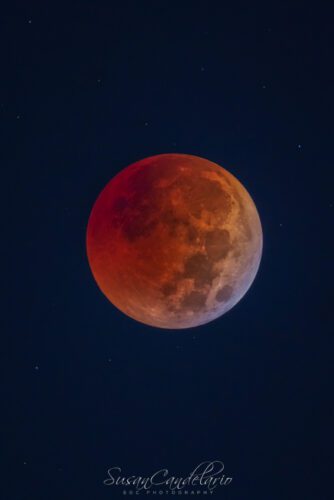 Total Eclipse Of The Moon 