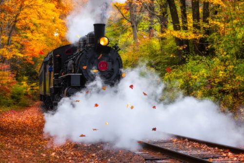 Locomotive No 40 Steam Train