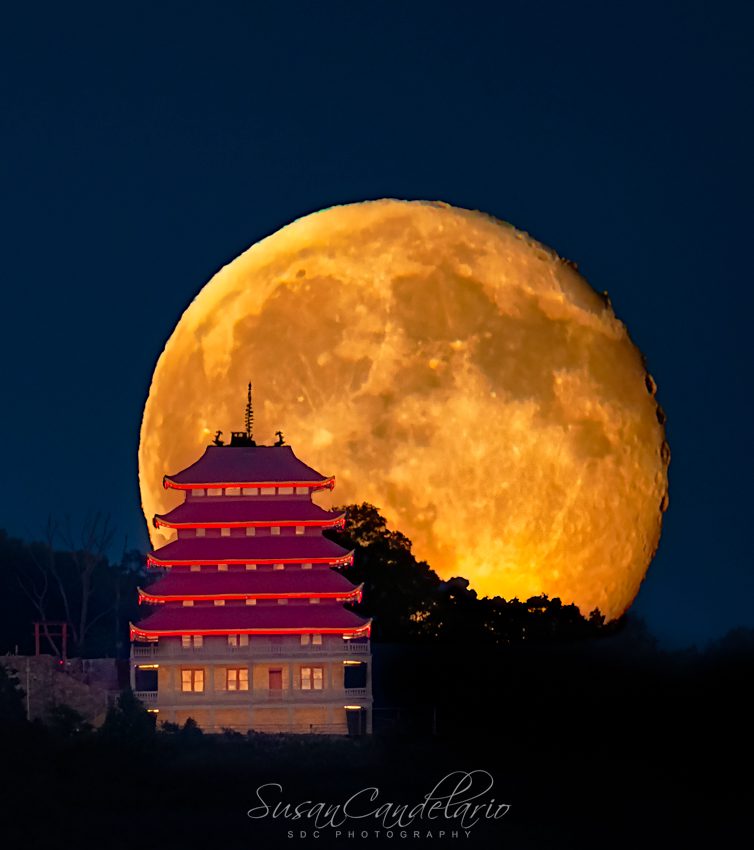 Moonlit Reading PA Pagoda V