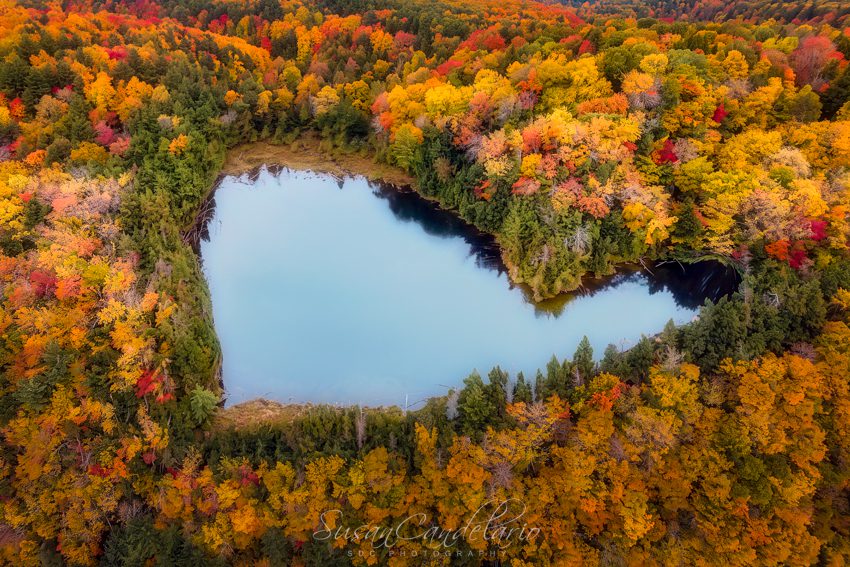 Heart Pond